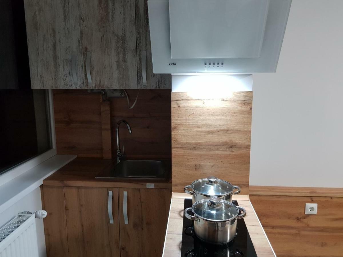Silver Star Apartment 40B Uzjhorod Eksteriør billede